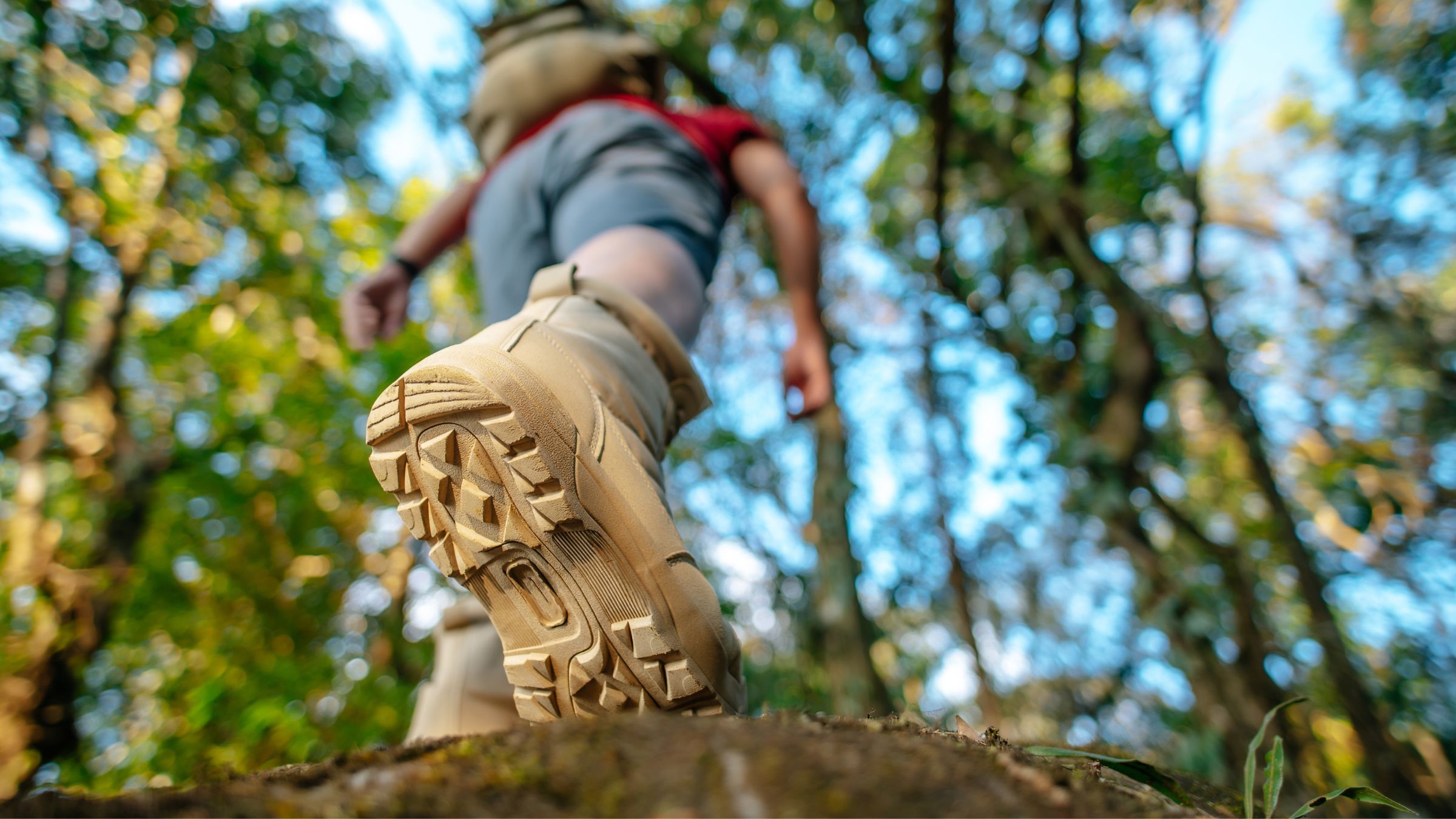 Nouveau GR® au Parc national de forêts : partez sur le Chemin de la Belle Étoile