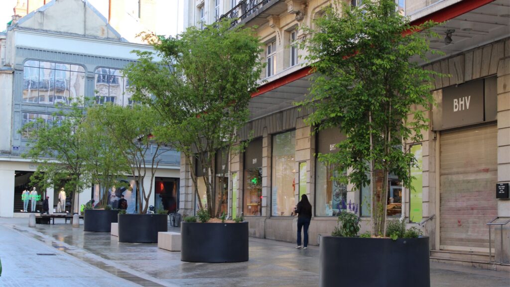 Les bacs arborés désormais installés rue de la Liberté
