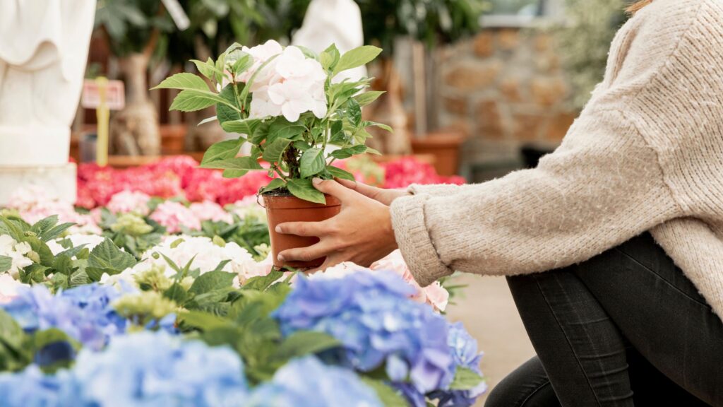 Fêtez le printemps à La Fourmilière