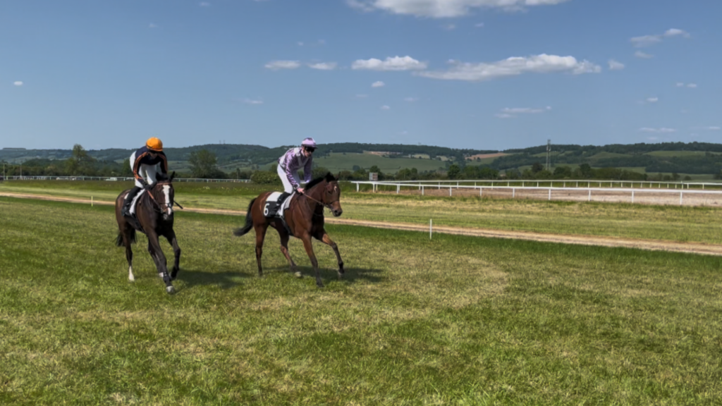 Les courses hippiques de Vitteaux auront lieu ce dimanche 24 mai
