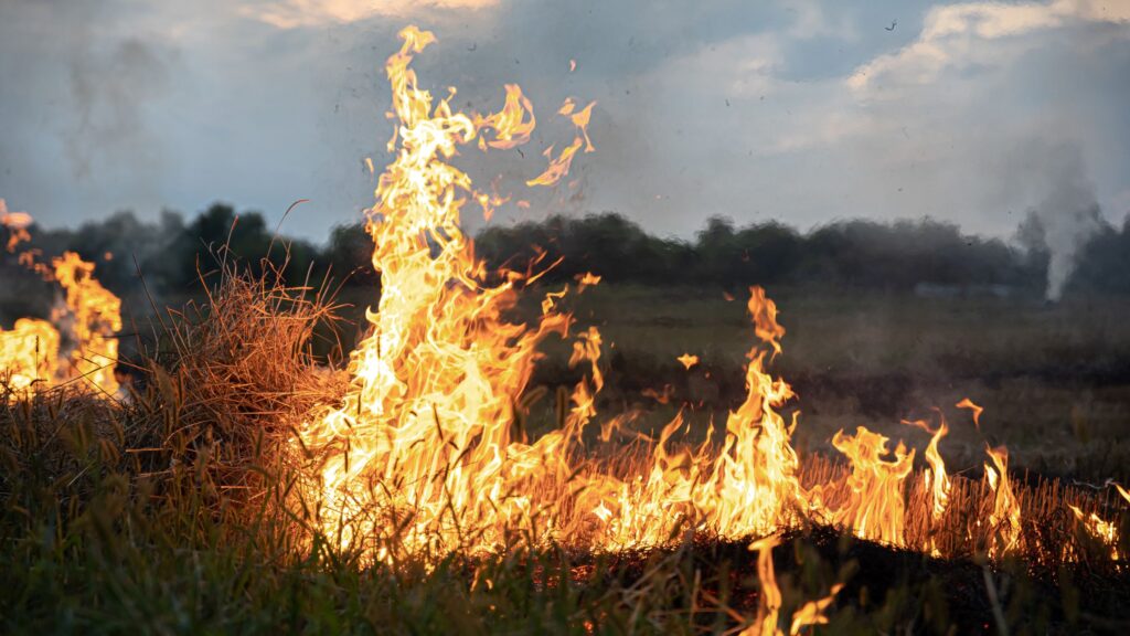 Côte-d’Or : le Seuil Bourguignon et le Morvan placés en risque « très sévère » d’incendie