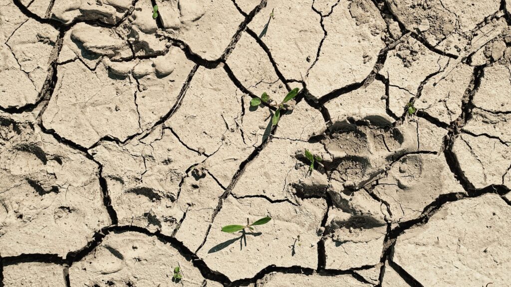Sécheresse en Côte-d'Or : de nouvelles restrictions d'eau dès lundi
