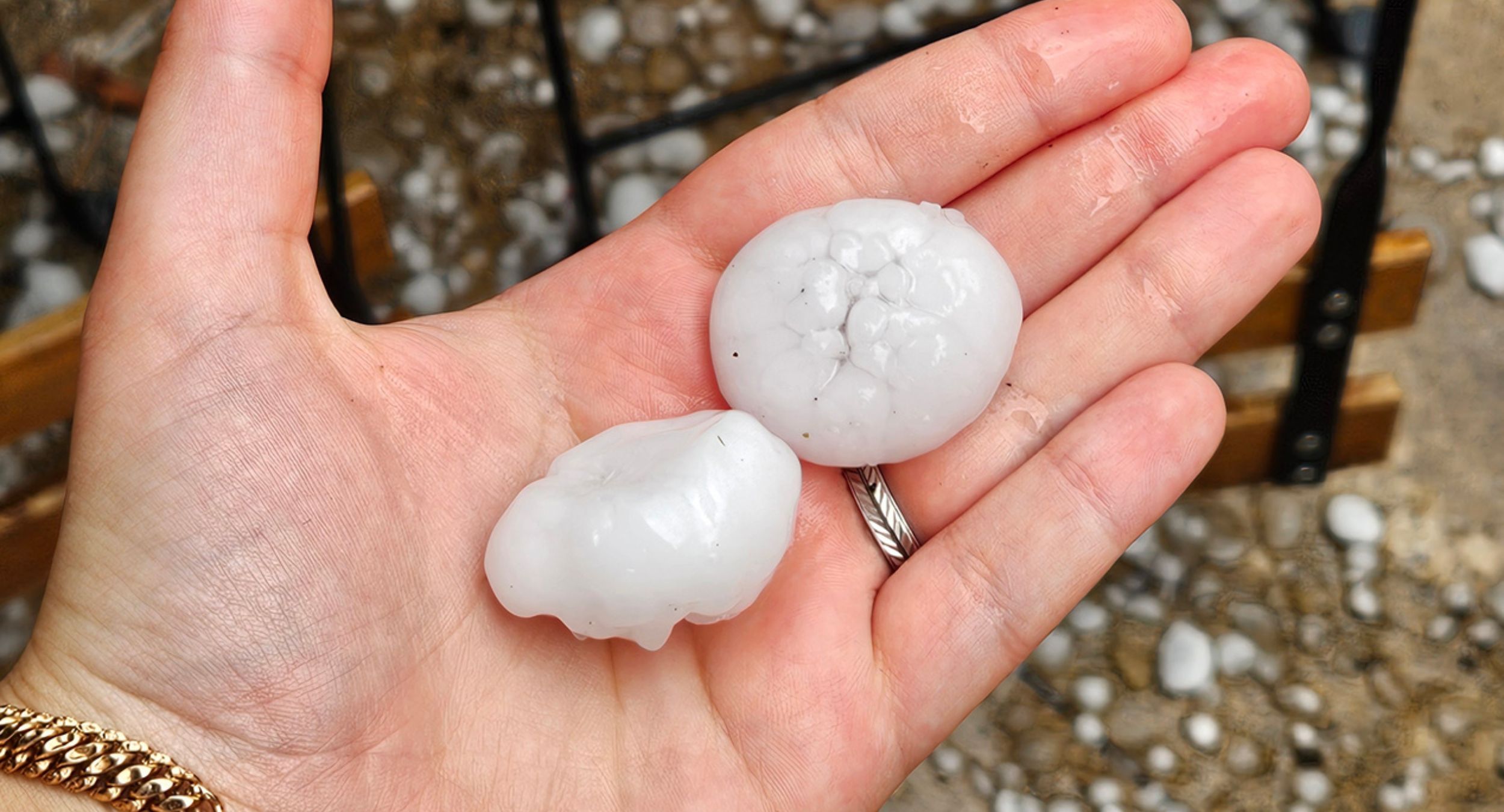 Orages de grêle : Nathalie Koenders prend la parole