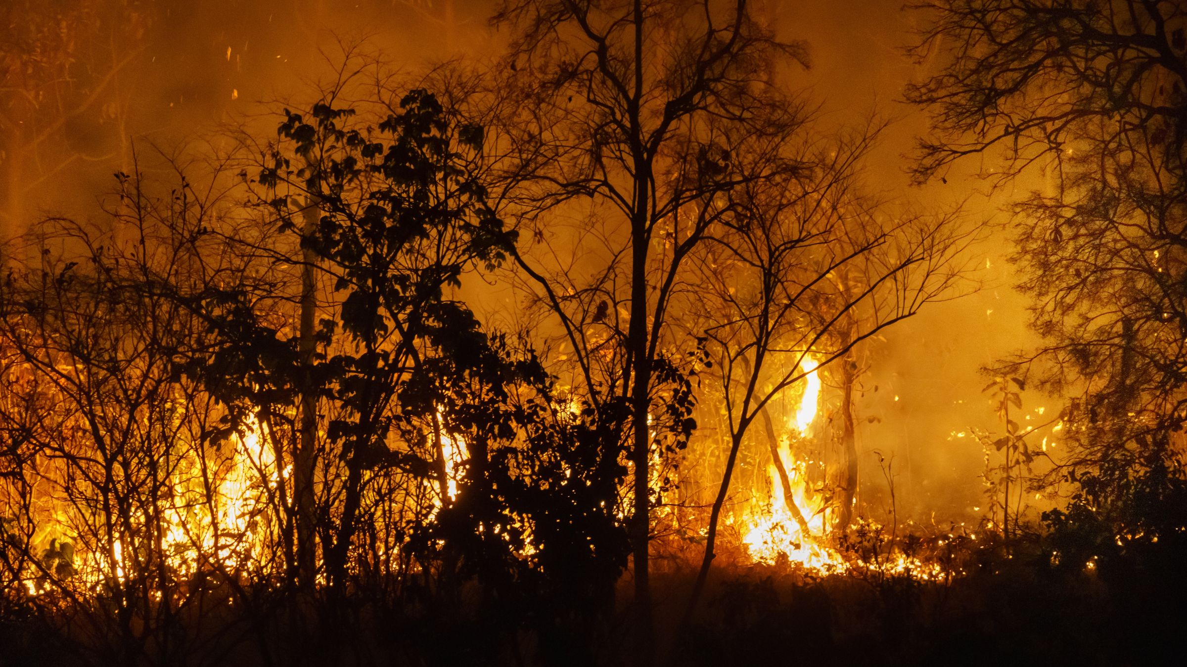 Côte-d'Or : la préfecture alerte sur la multiplication des incendies